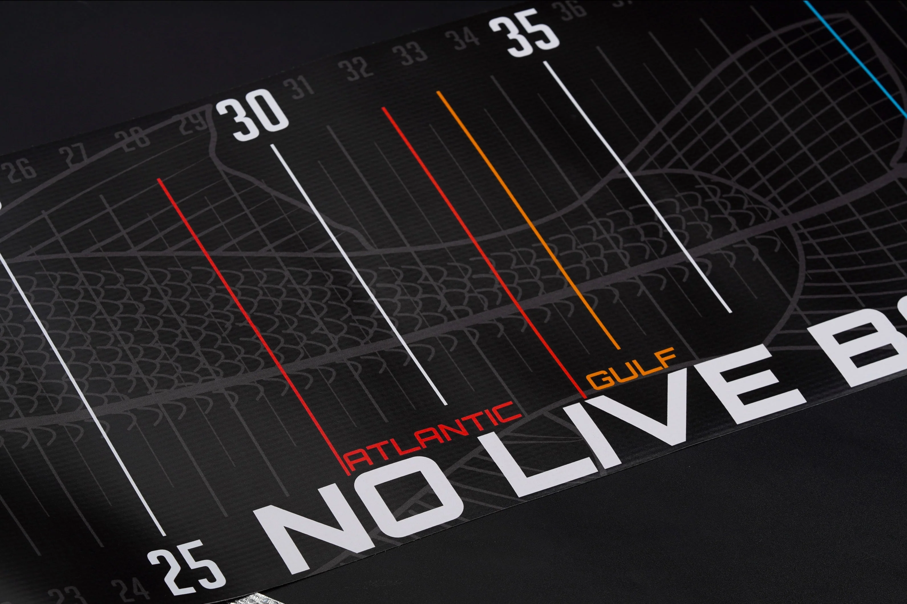 Big Snook Ruler - Image 3